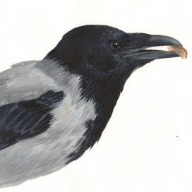 Серая ворона. Фрагмент 