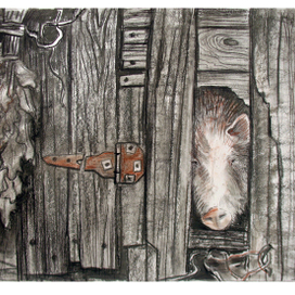 Наблюдатель