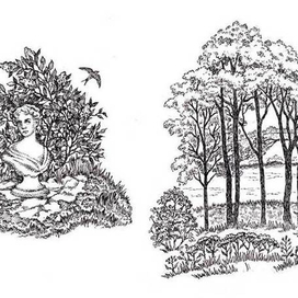 А. ФЕТ. стихотворения.