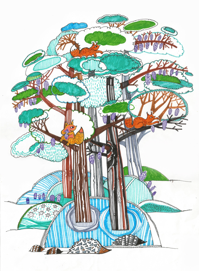 Белки, ежи, сосны, шишки.