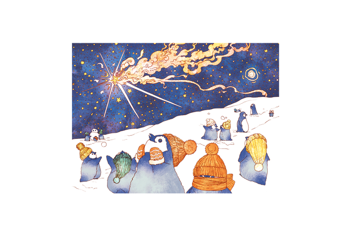 Пингвиновый звездопад