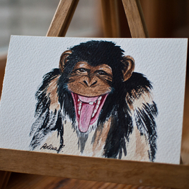 обезьяна \ открытка\ 2013