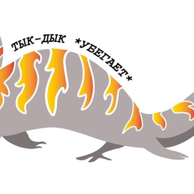 Синеязыкий сцинк! [2]