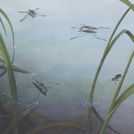 Как муравьишка домой спешил