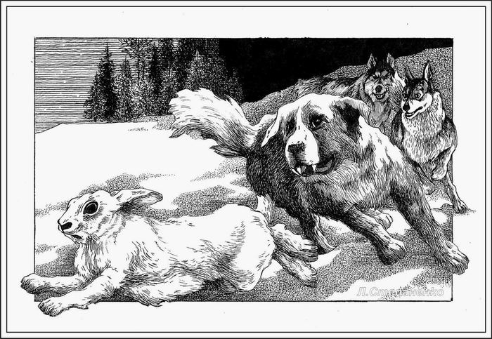 Погоня за зайцем