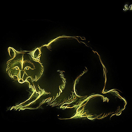 Серия патронусов: Енот