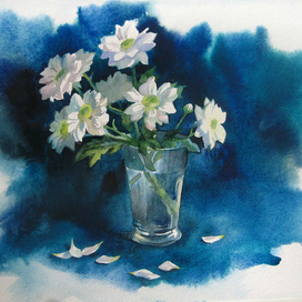 Белые хризантемки