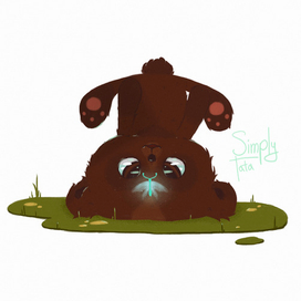 Маленький мишка и чудо