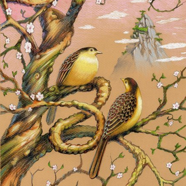 Весна опять в китае