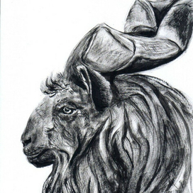 Винторогий