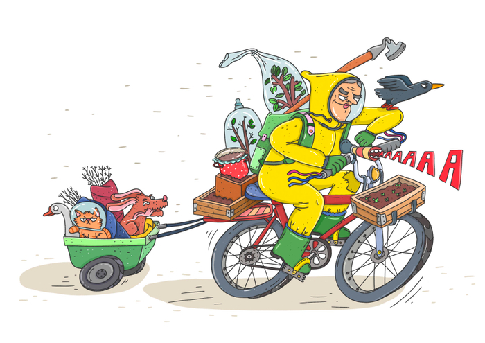 яндексрассада