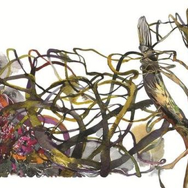 партрэт дрэва