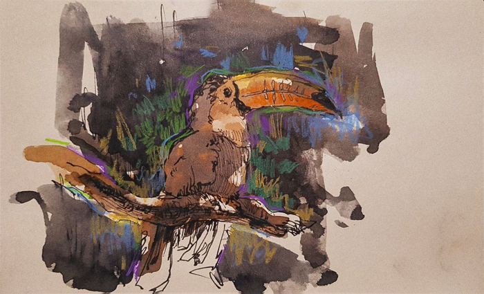 Скетч-тукан