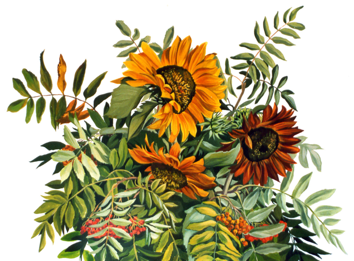 Подсолнухи с рябиной