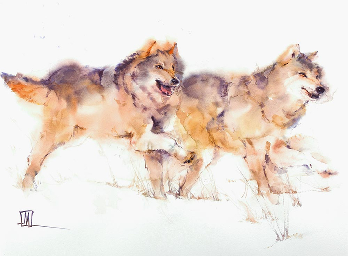 Wolves in winter