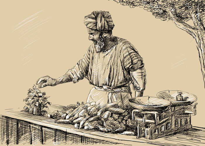 Продавец редиса