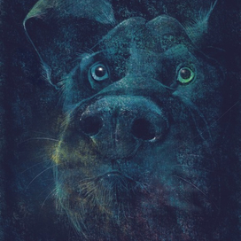 Привиделось