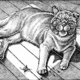 Солнечное пятно. Ю. Коваль.