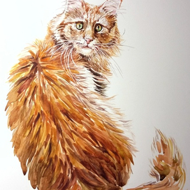 Рыжик, не ожидал...