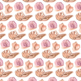 Акварельные ракушки