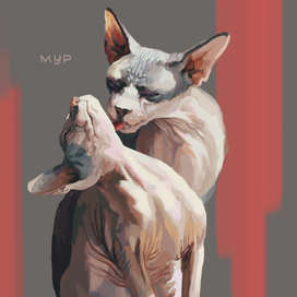 Я тебя мур-мур