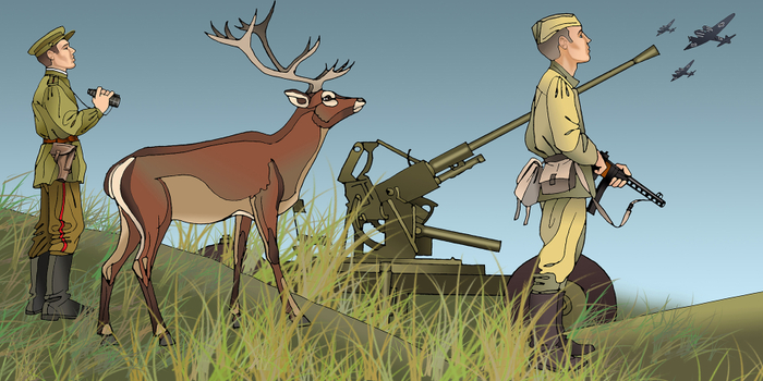 Лесной боец ПВО