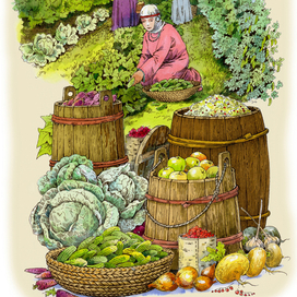 Огород древнего Новгорода