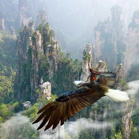 Орлиная почта