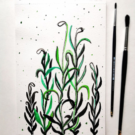 Кукушкин лен