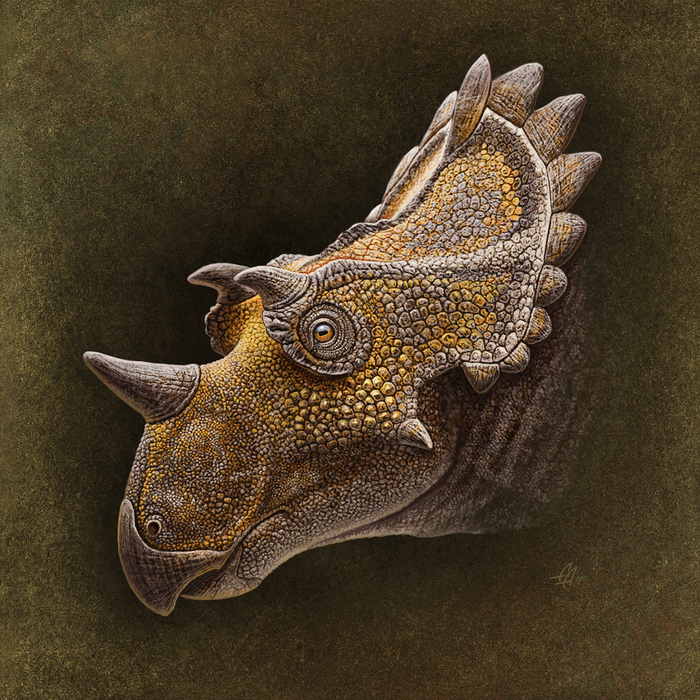 Regaliceratops