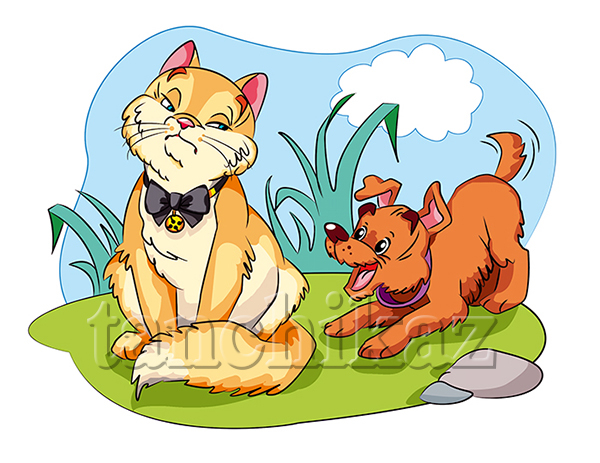 Кот и собака