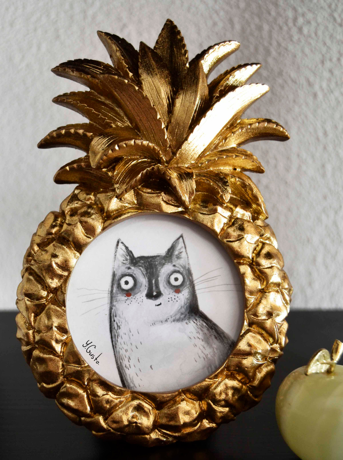 кот в ананасе