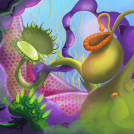 Хищные растения