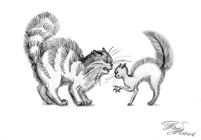 Жили-были Кот и Кошка. 3 