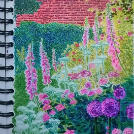 розовые цветы