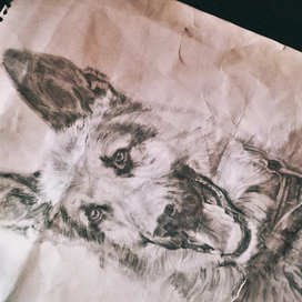 Свободные мысли