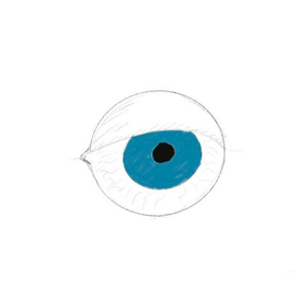 eye