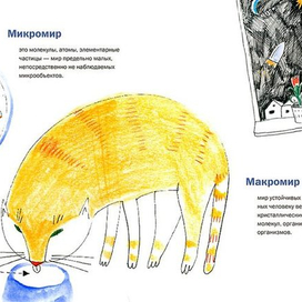 Микромир и Макромир