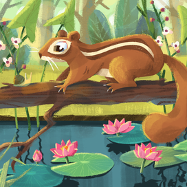 Бурундук на пруду