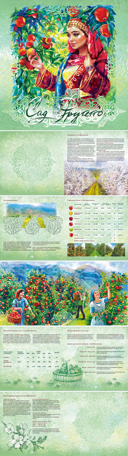 иллюстрации, дизайн и вёрстка буклета