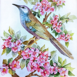 Сады цветут