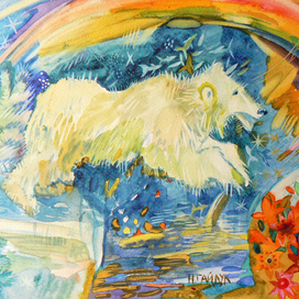 Из зимы в лето