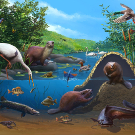 Речной хаос