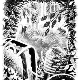 Там человеки! Странные существа какие то!