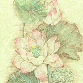 Лотосы в восточном стиле