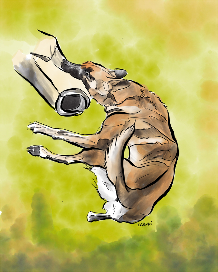 Малинуа в действии 