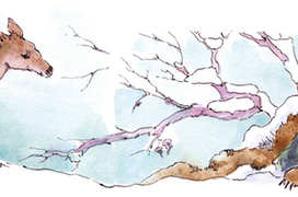 К сказке про оленя