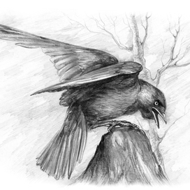 Иллюстрация книжная для изд.Пегас