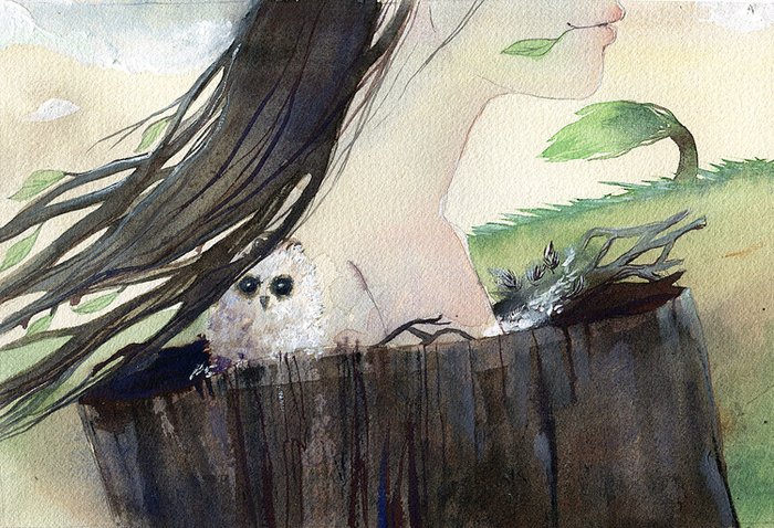 Совенок на дереве.