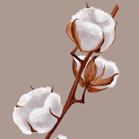 Цифровая иллюстрация